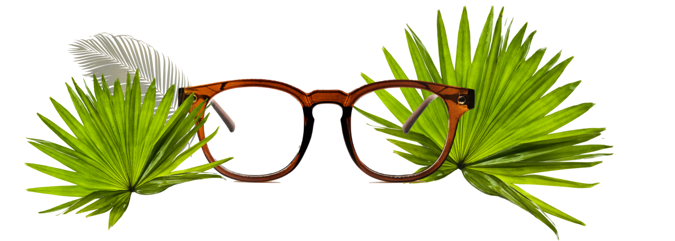 Eine braune Brille die von Palmenblättern umgeben ist.